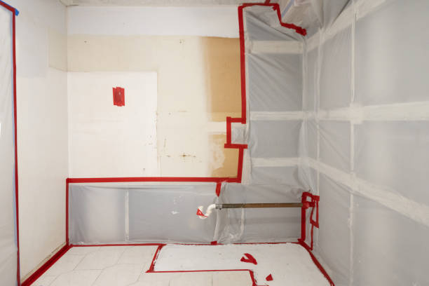 Reliable Del Rio, TX Mold Removal Solutions